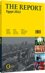 Cover of The Report Egypt 2012 