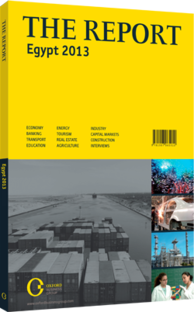 Cover of The Report: Egypt 2013