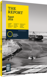 Cover of The Report: Egypt 2016 