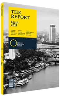 Cover of The Report: Egypt 2017