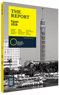 Cover of The Report: Egypt 2018