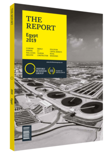 Cover of The Report: Egypt 2019