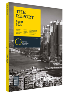 Cover of The Report: Egypt 2020