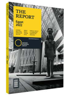 Cover of The Report: Egypt 2022