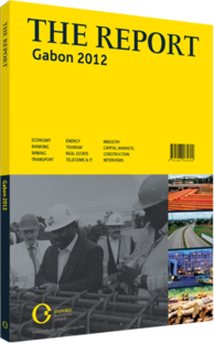 Cover of The Report Gabon 2012 