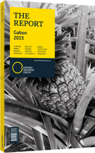 Cover of The Report: Gabon 2015 