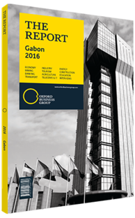 Cover of The Report: Gabon 2016