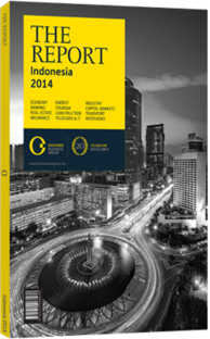Cover of The Report: Indonesia 2014