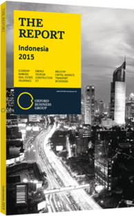 Cover of The Report: Indonesia 2015 