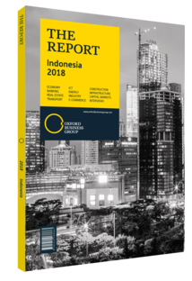 Cover of The Report: Indonesia 2018