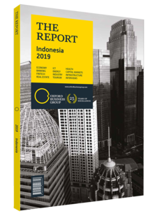 Cover of The Report: Indonesia 2019