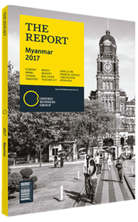 Cover of The Report: Myanmar 2017