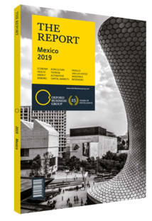 Cover of The Report: Mexico 2019