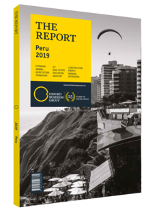 Cover of The Report: Peru 2019