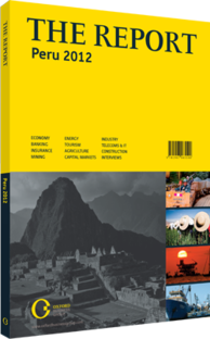 Cover of The Report: Peru 2012 