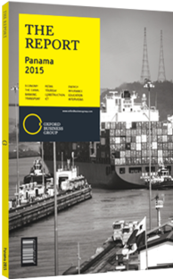 Cover of The Report: Panama 2015