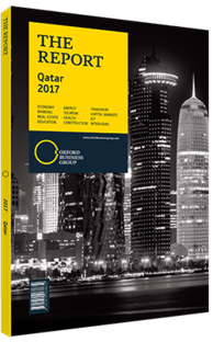 Cover of The Report: Qatar 2017