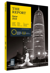 Cover of The Report: Qatar 2019