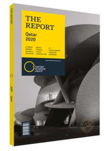Cover of The Report: Qatar 2020