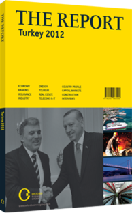 Cover of The Report:Turkey 2012 