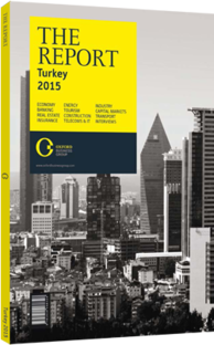 The Report: Turkey 2015