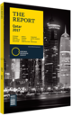 Cover of The Report: Qatar 2017